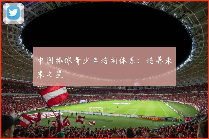 中国排球青少年培训体系:培养未来之星